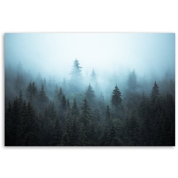 Bild på duk, Skog i dimman - 60x40