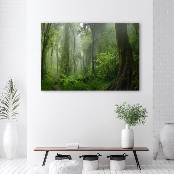 Bild på duk, Tropisk djungelskog - 100x70