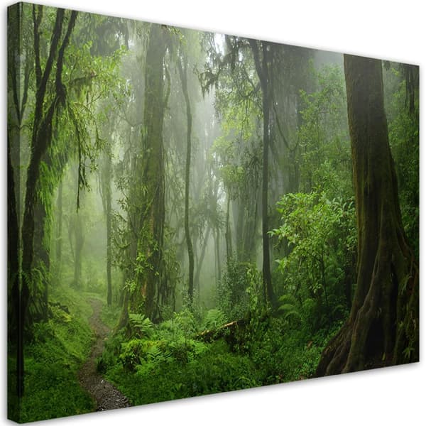 Bild på duk, Tropisk djungelskog - 100x70