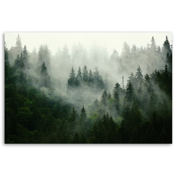 Kuva kankaalle, Metsä sumussa - 120x80