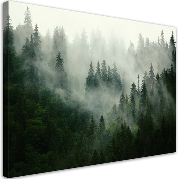 Billede på lærred, Skov i tågen - 120x80
