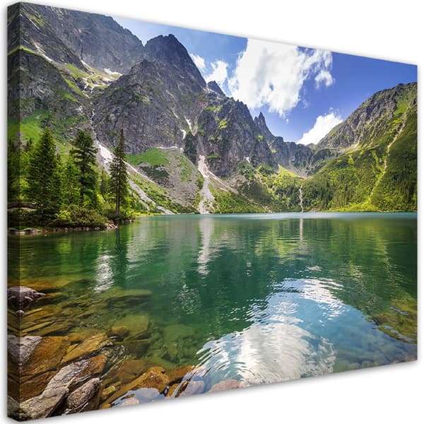 Bild på duk, Bergsjö Träd Natur - 120x80