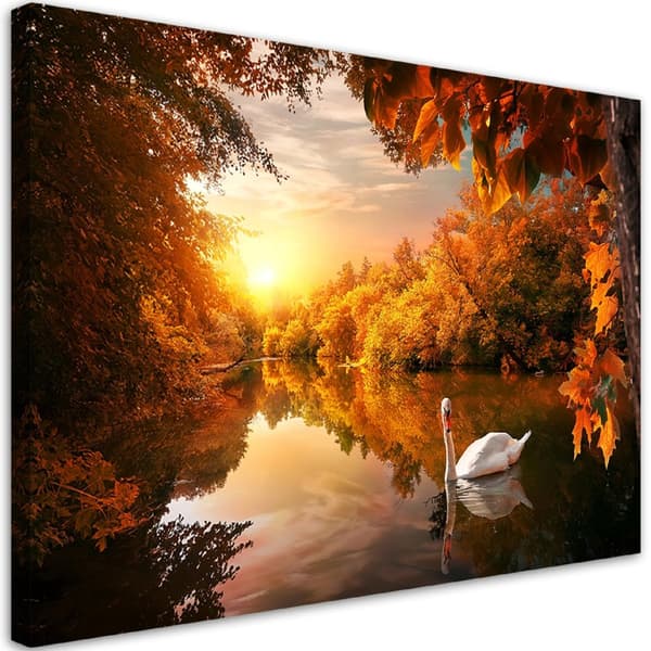 Billede på lærred, Svane på dammen om efteråret - 90x60
