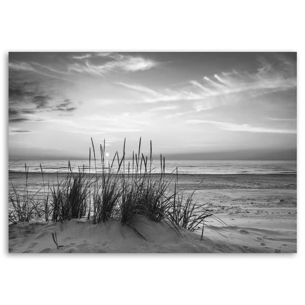 Billede på lærred, Græsser på stranden - sort og hvid - 90x60