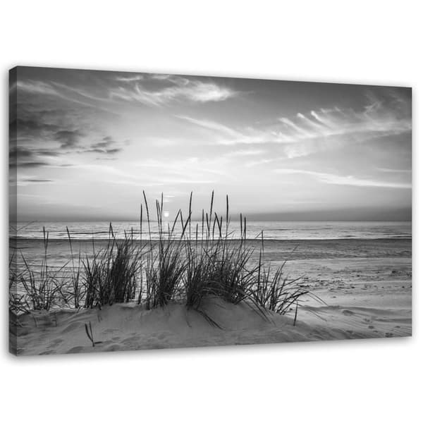 Billede på lærred, Græsser på stranden - sort og hvid - 90x60