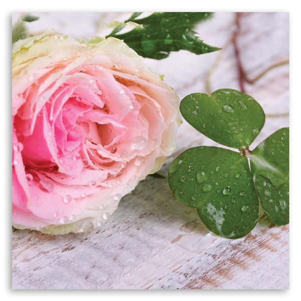 Billede på lærred, Rose blomster natur - 30x30