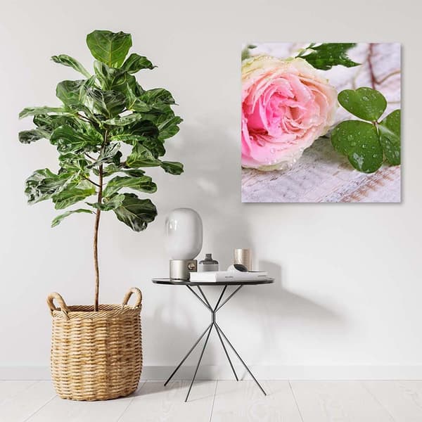 Billede på lærred, Rose blomster natur - 40x40