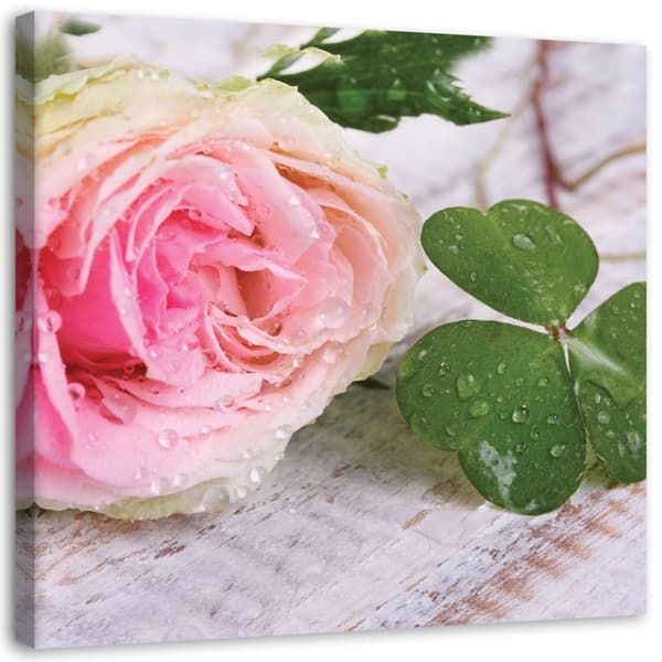 Billede på lærred, Rose blomster natur - 60x60