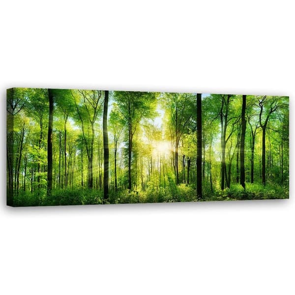 Bild på duk, Solstrålar i den gröna naturskogen - 90x30
