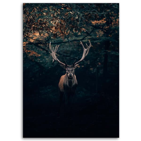 Bild på duk, Rådjur i buskarna - 60x90
