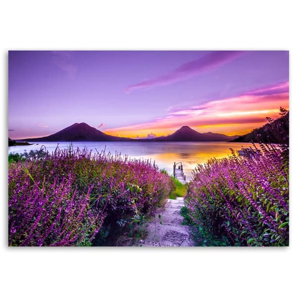 Kuva kankaalle, Purppura paratiisi - 90x60
