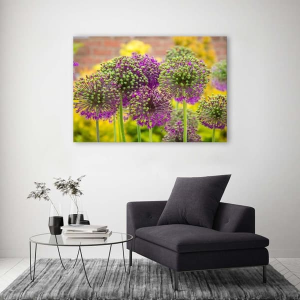 Bild, prydnadsvitlök - 90x60