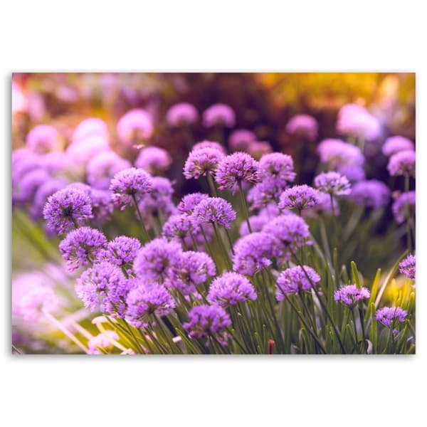 Billede på lærred, Purple Garden - 100x70