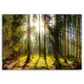 Miniatyrbild 3 av 6: Bild på duk, Strålar i en solig skog - 120x80