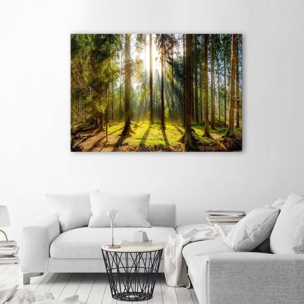 Bild på duk, Strålar i en solig skog - 120x80