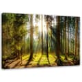 Miniatyrbild 1 av 6: Bild på duk, Strålar i en solig skog - 120x80
