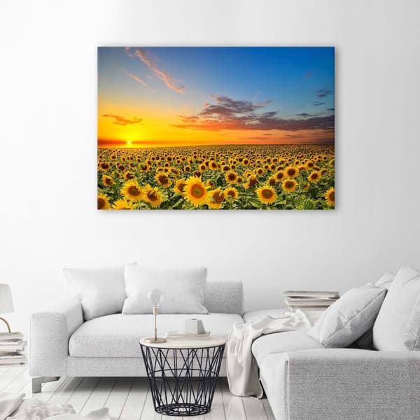 Bild, solrosäng vid solnedgången - 90x60