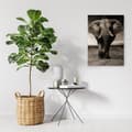 Miniatyrbild 2 av 6: Bild, XXL elefant på savannen - 70x100