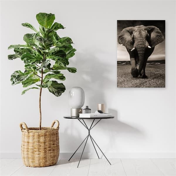 Bild, XXL elefant på savannen - 70x100