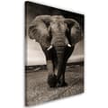Miniatyrbild 1 av 6: Bild, XXL elefant på savannen - 70x100