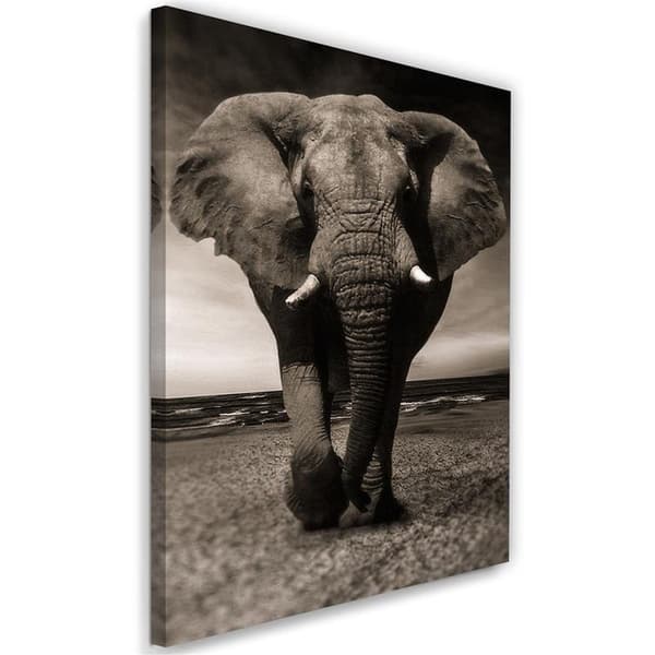 Billede, XXL elefant på savannen - 70x100