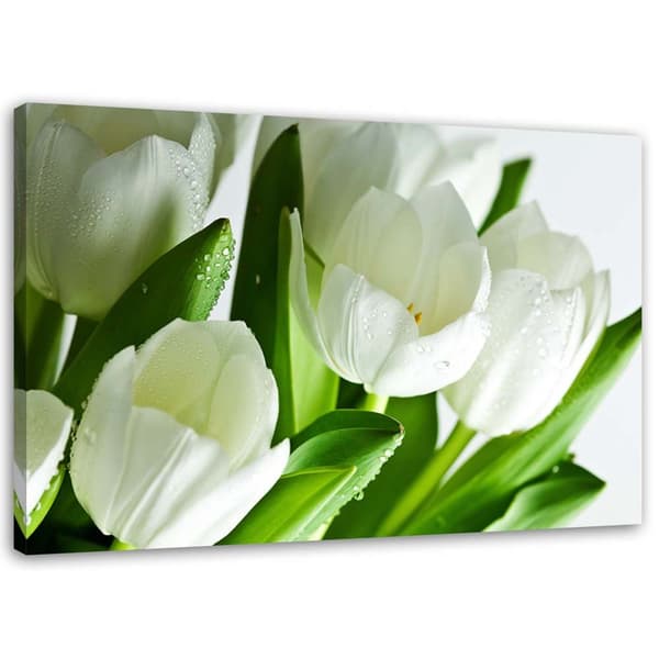 Kuva, Valkoiset tulppaanit - 90x60