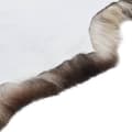 Miniatyrbillede 4 af 9: vidaXL gulvtæppe 70x100 cm fårelæder flerfarvet -  Indretning