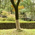 Miniatyrbild 2 av 8: The Living Store Juterulle 1x5 m 100% jute 200 gsm -  Dekor