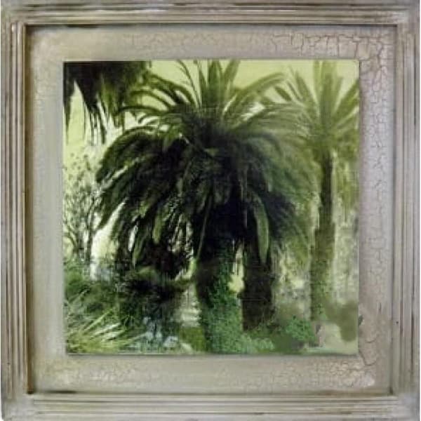 Et billede med en palme, mål 38x38 cm.
