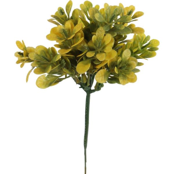 Dekorativ buksbom Gul-grøn Naturlook 19 cm