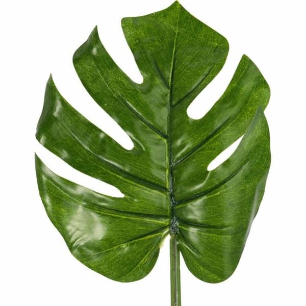 PHILODENDRON BLAD 66 CM, GRØN