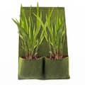 Miniatyrbillede 3 af 5: 8 Planteposer Plantesæk Bankmåtte Skråmåtte til Pond liner