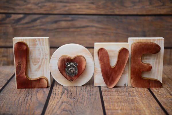 Bryssel griffon, Griffon bruxellois - träinskription LOVE, inredning med en hund, härlig hylldekoration av Art-Dog
