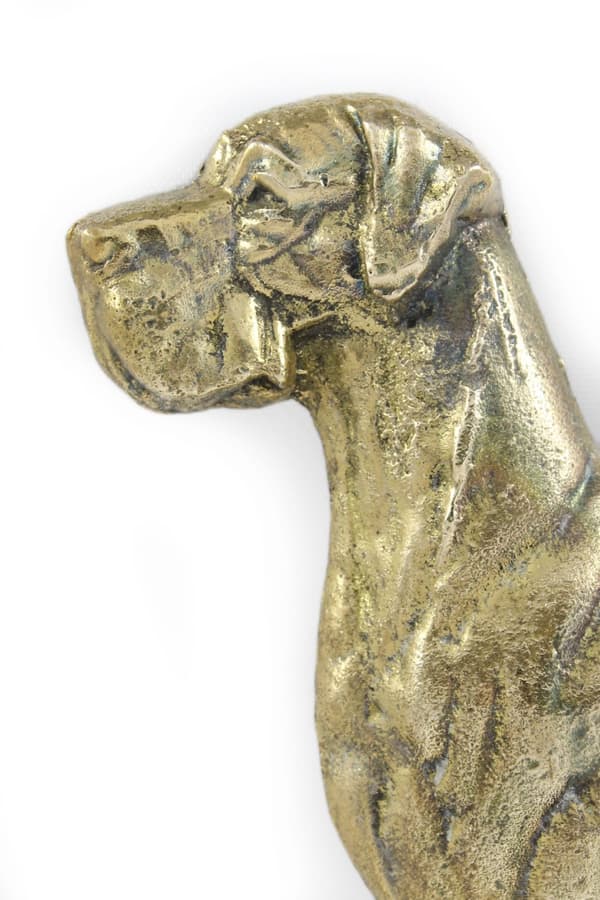 Tanskandoggi II - ovilevy koiralla, messinkinen tervetuliaiskyltti, ainutlaatuinen kyltti, jossa on merkintä Welcome by Art-Dog
