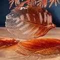 Pikkukuva 5 / 6: KORISTEELLINEN LASILEVY SAVA (02) 26 X 19 X 2 CM ORANSSI