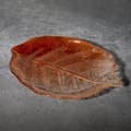 Pikkukuva 2 / 6: KORISTEELLINEN LASILEVY SAVA (02) 26 X 19 X 2 CM ORANSSI