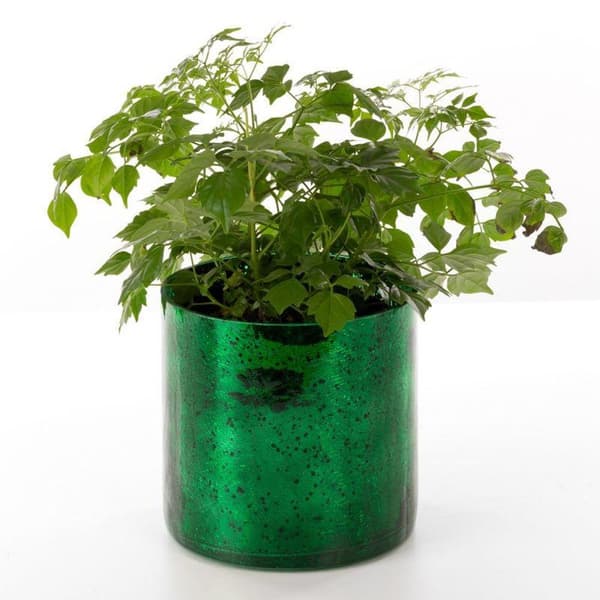 DEKORATIVT GLAS VERRE3 (4) FI 15 X 15 CM GRØN