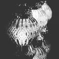 Miniatyrbild 4 av 9: GLAMOUR BALL LYKTA -STOR-KRISTALL/TRANSPARENT-SVART BAS/1 STK
