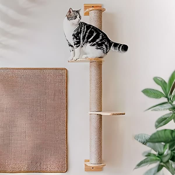 GRÅ KATT SCRATCHER TUTUMI P70509 BEIGE