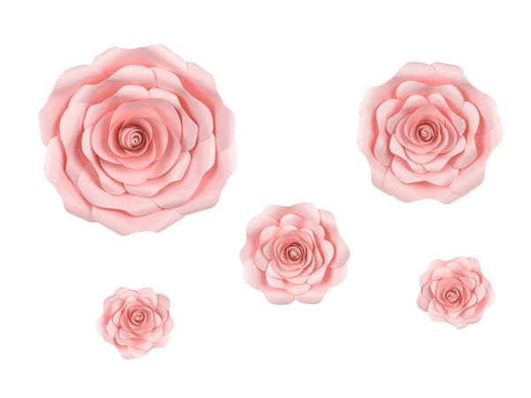 Pappersblommor, rosa, blandade (1 ask / 4 förpackningar)