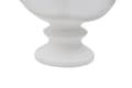 Miniatyrbild 5 av 7: FURNLUX DEKORATION ROMERSK VIT 22CM