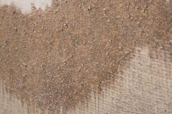FURNLUX VÄGGKONST BROWNY BEIGE 80CM