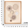 Miniatyrbild 7 av 7: FURNLUX VÄGGKONST CIRKLY BRUN 45CM