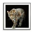 Miniatyrbild 1 av 6: FURNLUX VÄGGKONST JAGUAR SVART 82CM