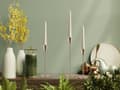 Miniatyrbild 8 av 11: LJUSSTAKE TUTUMI KCH004-G 3 PIECES