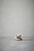 Miniatyrbild 7 av 8: FURNLUX DEKORATION ELLIA BEIGE 22CM