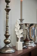 Pikkukuva 3 / 3: FURNLUX KORISTE SILLE BEIGE 5CM