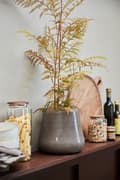 Miniatyrbild 3 av 6: FURNLUX VAS JOSEFINE BEIGE 22CM