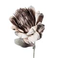 Miniatyrbild 2 av 3: FURNLUX DEKORATION HAPPIA BEIGE 21CM