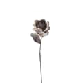 Miniatyrbild 1 av 3: FURNLUX DEKORATION HAPPIA BEIGE 21CM